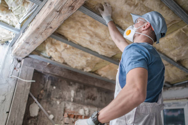 Best Professional Insulation Contractor  in Mapleton, IA