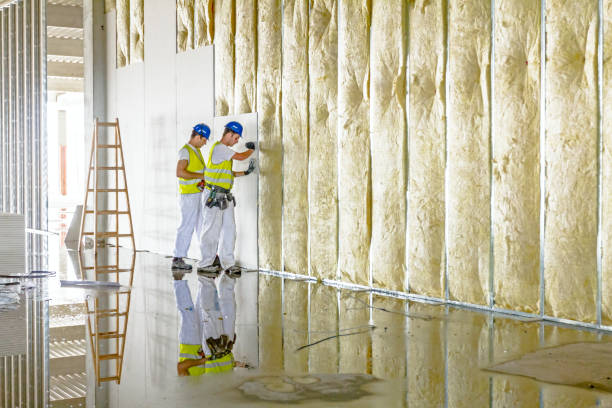 Best Professional Insulation Contractor  in Mapleton, IA